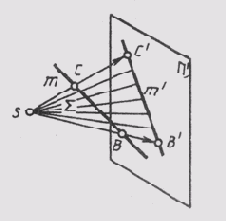 § 28.  