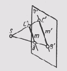 § 28.  