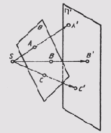 § 28.  