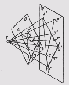 § 28.  